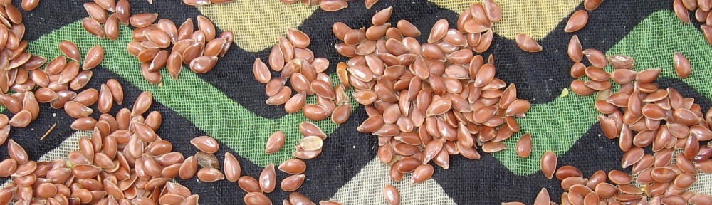 anti cancer recipes flaxseed