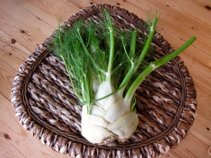 anti-cancer fennel leaves