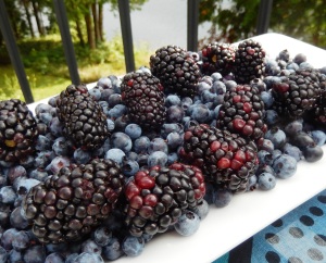 anti-cancer foods berries 